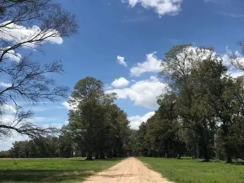 Terreno en Venta en Los Tres Pinos, USD 28.000