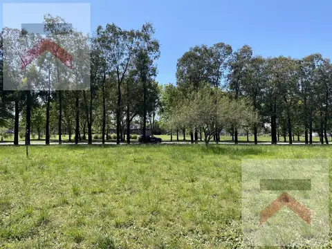 Lote 10.000m2 (1 hectarea) con Escritura Excelente ubicacion Estancia La Macarena Capilla del Señor