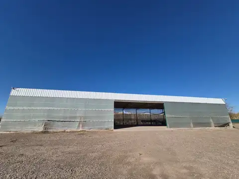 Galpon en Venta en Rodeo de la Cruz, USD 900.000