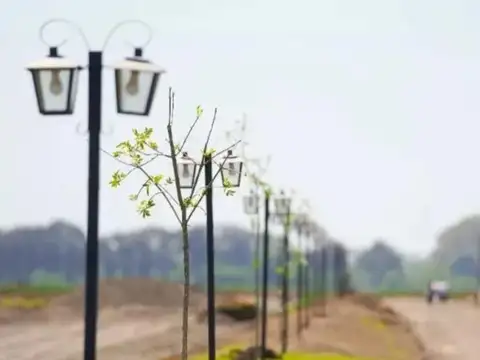 Terreno en Venta de 300,0 m2