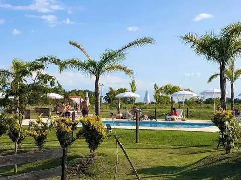 Campos de La Enriqueta