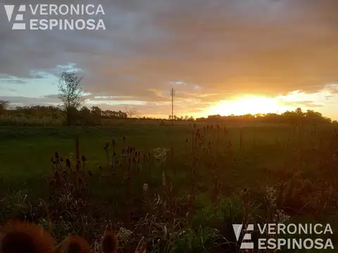 Quinta en Venta A Estrenar