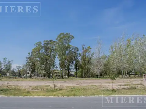 Lote en venta de 1007m² en Azzurra Tortugas