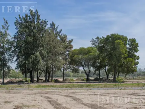 Terreno en Venta de 1007,0 m2