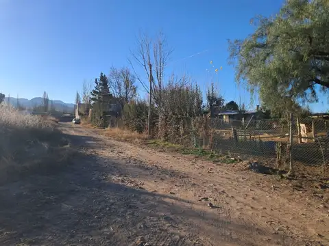 B virgen del carmen 100