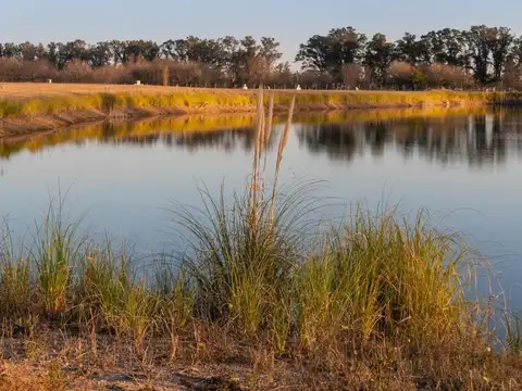 Terreno en Venta 50  mts Fondo