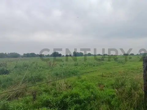 San Lorenzo 4500 4500, Piso 0