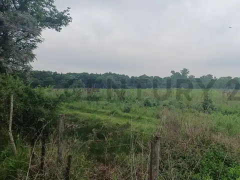 San Lorenzo 4500 4500, Piso 0