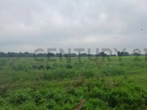 VENTA CAMPO 8,5  HECTAREAS | ESCOBAR | GRAN POTENCIAL PRODUCTIVO