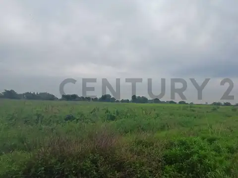 VENTA CAMPO 8,5  HECTAREAS | ESCOBAR | GRAN POTENCIAL PRODUCTIVO