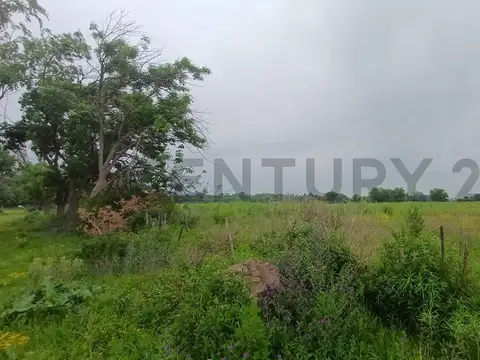 VENTA CAMPO 8,5  HECTAREAS | ESCOBAR | GRAN POTENCIAL PRODUCTIVO