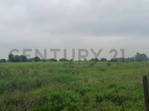 San Lorenzo 4500 4500, Piso 0