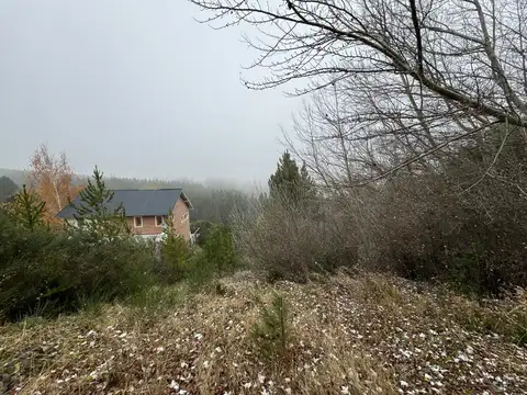 Lote Ruca Hue, San Martin de Los Andes