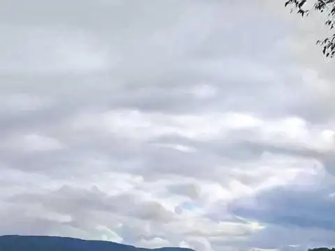 Campo en Venta Agrícola