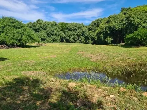 Lote - Venta - Paraguay, Asuncion