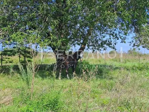 NOT. Venta Complejo de Cabañas Turísticas. Exaltacion de la Cruz