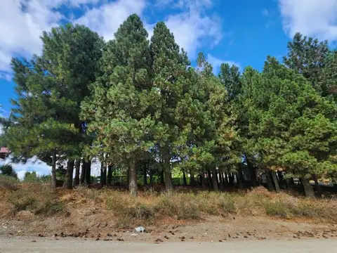 Lote en esquina a 300 m de RN 23