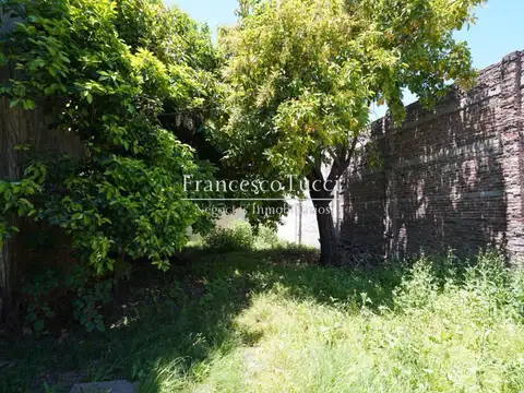 Juan José Paso al 400