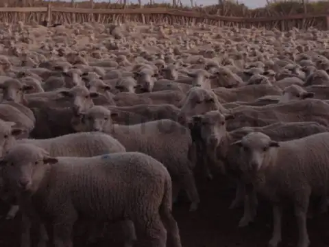 Campo en Venta de 1,39  ha