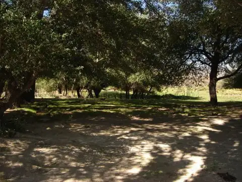 Ruta 23, 11Km del Aeropuerto 100, Piso 0