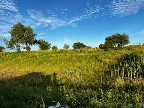 Vendo Campo 24 Has en Autovía 14 Concepción del Uruguay Entre Ríos