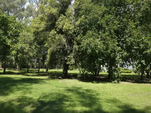 Lotes en venta en Grand Bell, City Bell