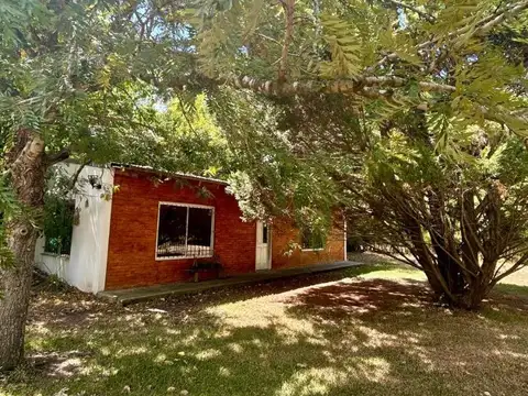 El Lazo 6739