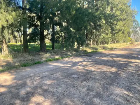 Terreno en Venta de 2813,0 m2