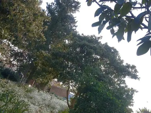 Terreno en Venta de 1,0 m2