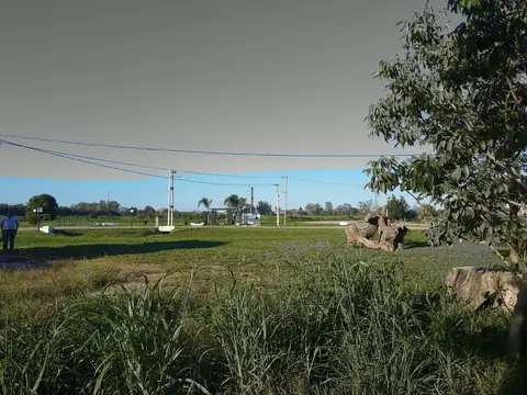 Terreno en Venta 33  mts Fondo