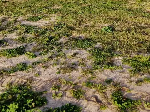 Terreno en Venta de 895,0 m2