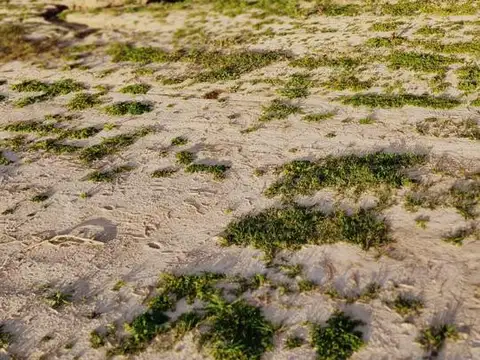 Venta Lote al agua en Puertos del Lago B Amarras