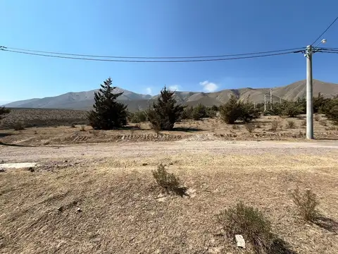 Ruta Provincial 307