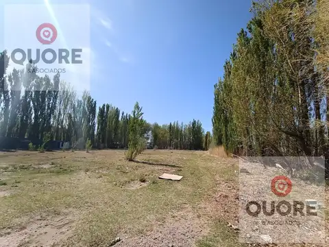 Departamento en Alquiler al Oeste
