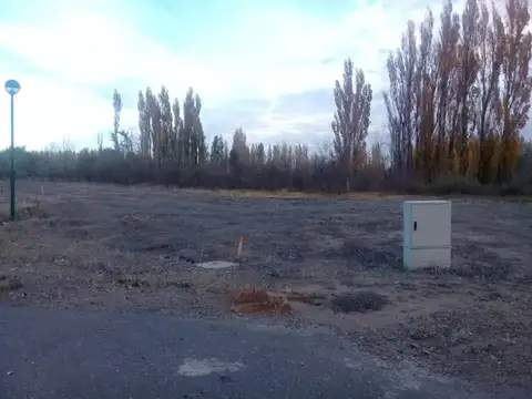 Terreno en Venta en Plottier, USD 60.000