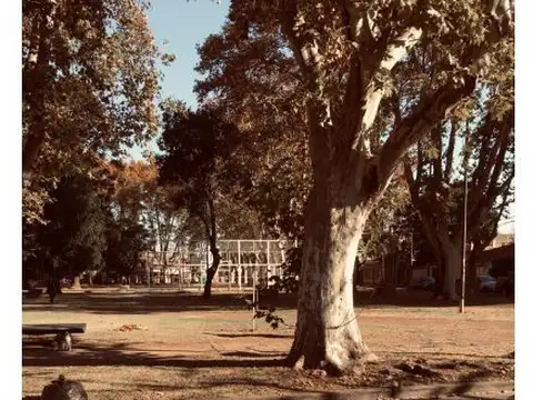 Casa Interna Unica