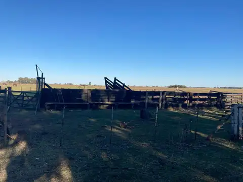 Las Flores, a 2 Km de RN 3 y 4 Km de ciudad