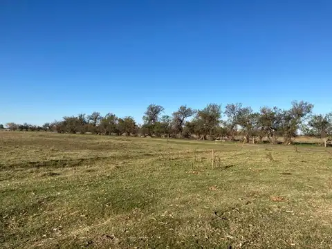 Las Flores, a 2 Km de RN 3 y 4 Km de ciudad