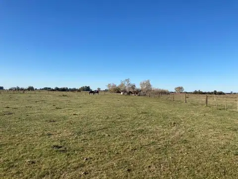 Campo en Venta Las Flores