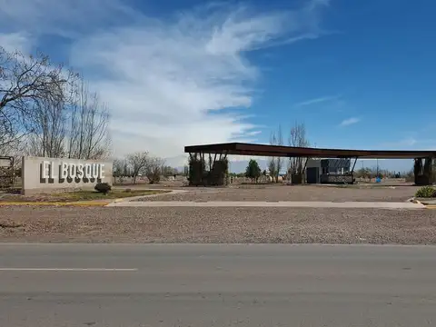 TERRENO EN VENTA EL BOSQUE RODEO DEL MEDIO