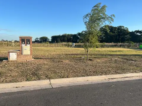 Terreno - Venta - Argentina, Bella Vista - Av. Int. Remigio Lopez 490