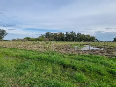 Campo de 41250 m² en venta