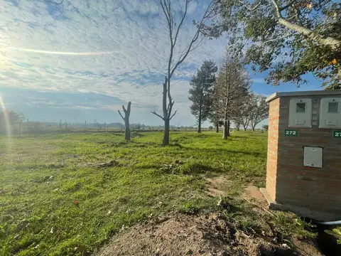 Calle El Deslinde 1100