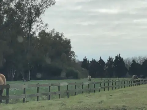 Lote Terreno Chacras de Parana Lima Baradero Zarat