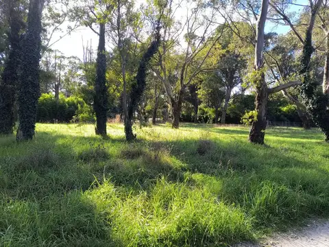 Terreno en Venta de 700,0 m2