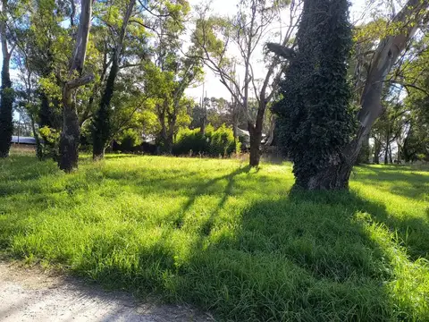 Terreno en Venta en Santa Celina, Mar del Plata