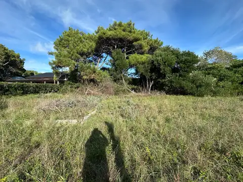 Terreno en Venta 12  mts Frente