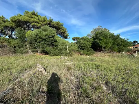 Francisco de las Carreras  al 3400 -  Nueva atlantis - Costa atlantica