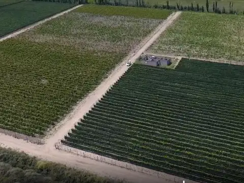 Finca en Junín