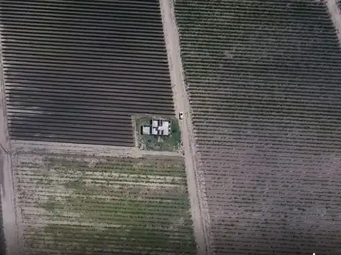 Finca en Junín